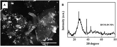 Determination of Ursolic Acid in Extracts From Ligustri lucidum Fruit Using an Electrochemical Method